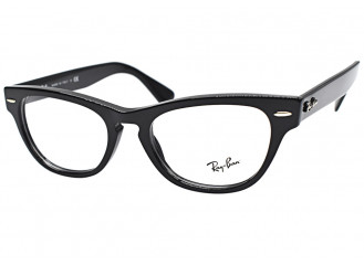Carl Zeiss Ray Ban	RB 2201V