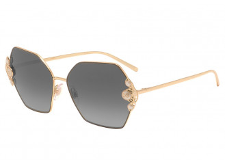Dolce&Gabbana Dolce & Gabbana DG 2253-H