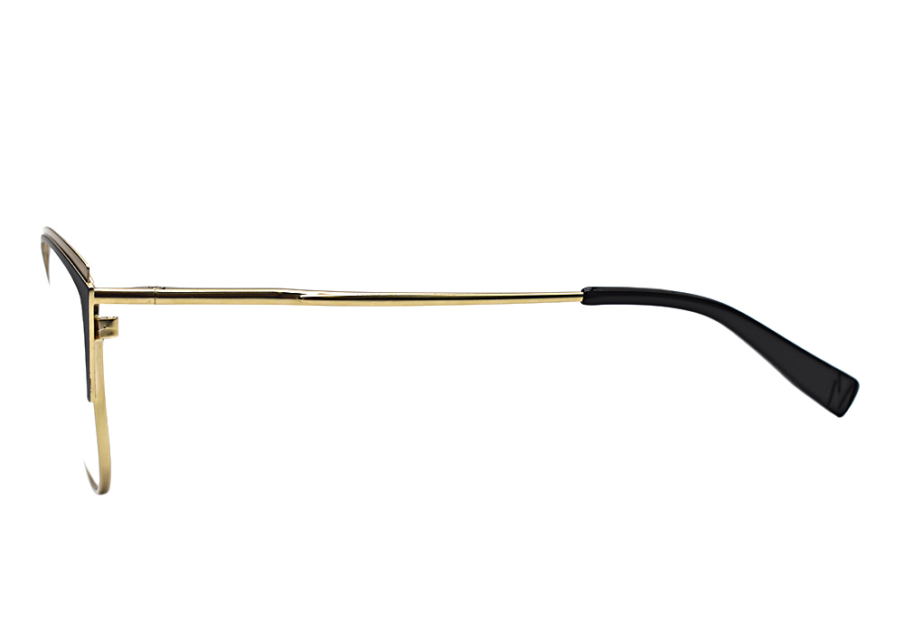Оправы (очки) MEREL MR6455 C01