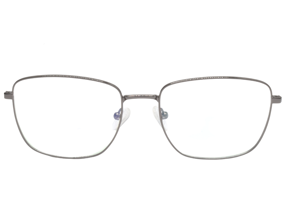 Оправы (очки) MEREL MR7827 C02