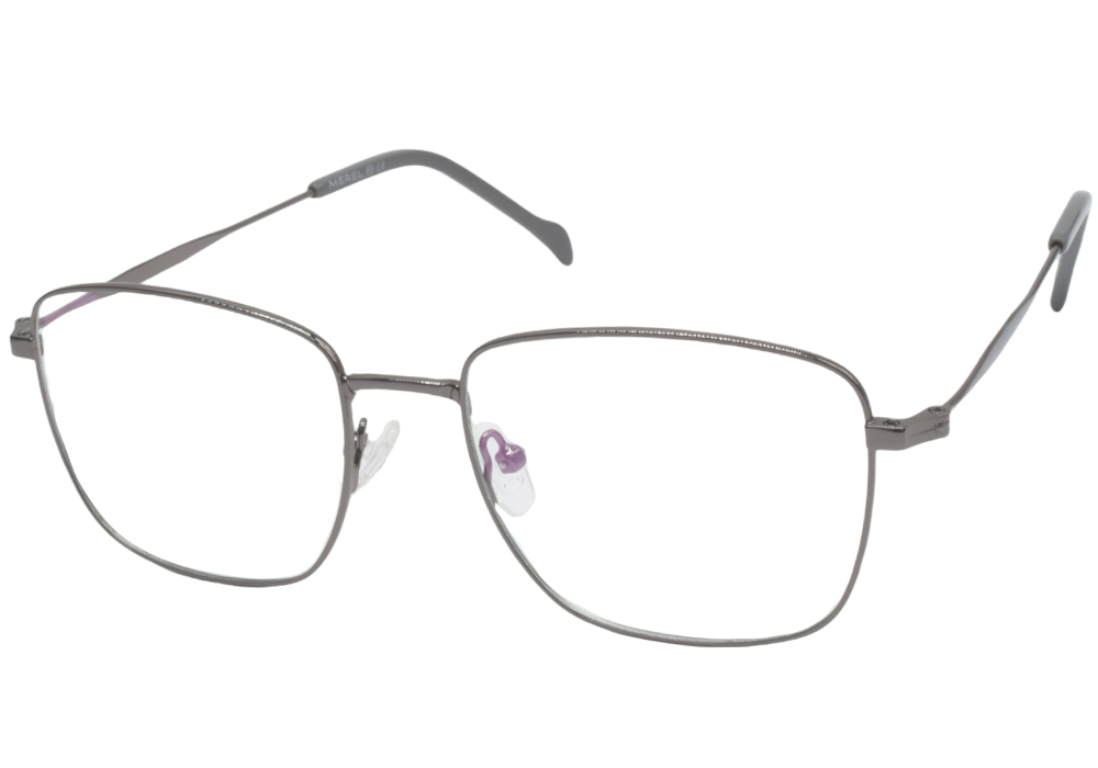 Оправы (очки) MEREL MR7827 C02