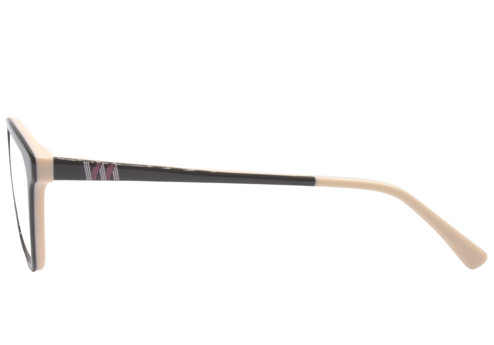 Оправы (очки) BANISS BSJ5127 C01