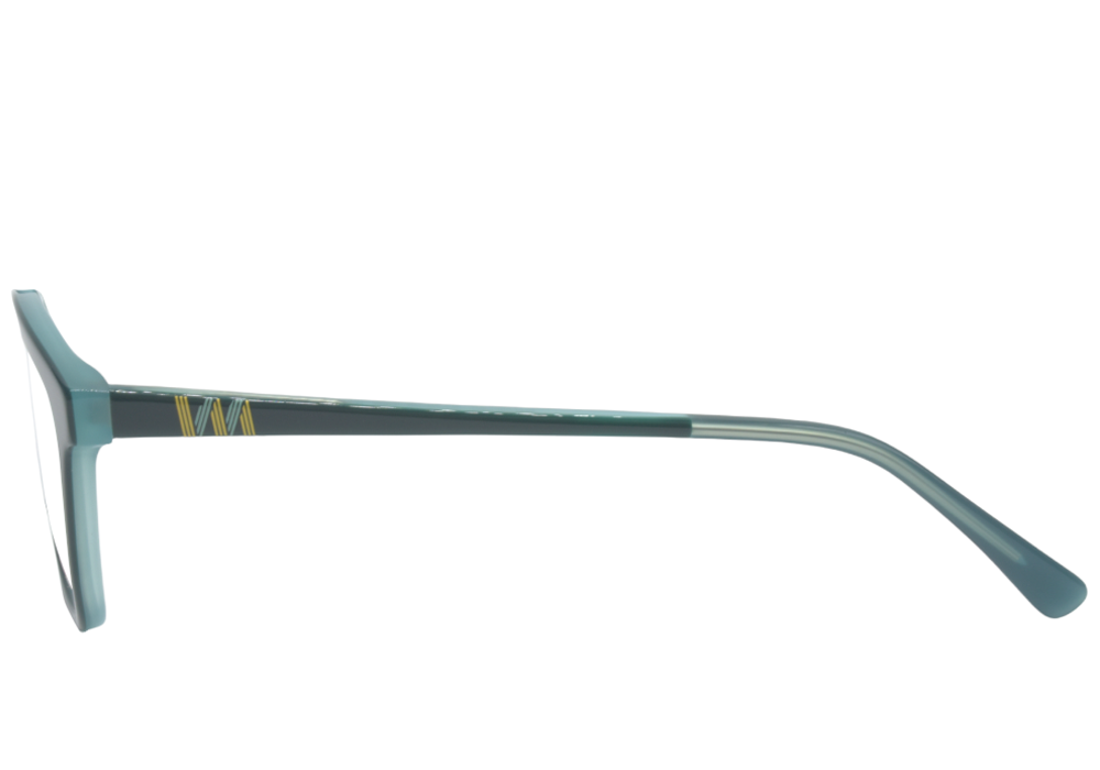 Оправы (очки) BANISS BSJ5127 C03